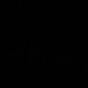 Meet your Posher, Tyson